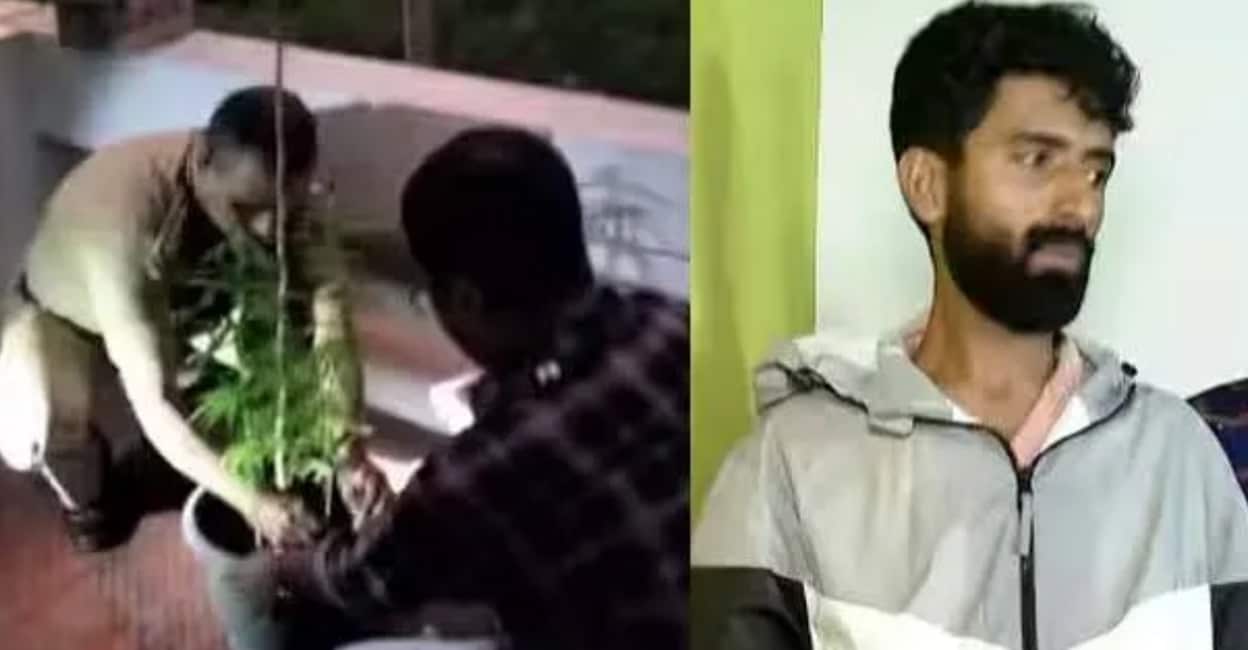 accounts-officer-arrested-for-cultivation-ganja.jpg