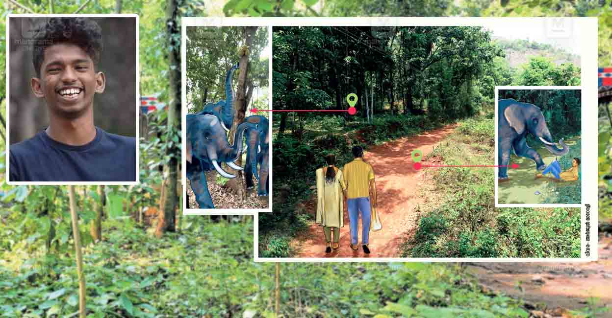 alaen-attack-wild-elephant.jpg