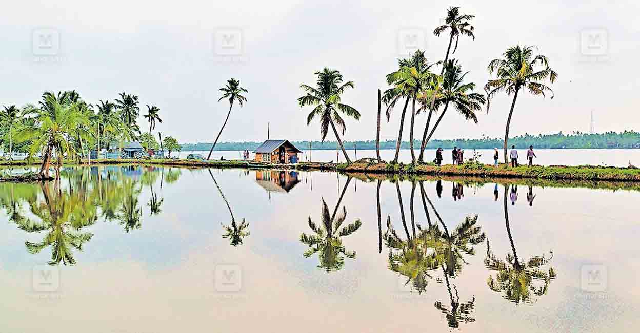 alapuzha-ilavaip-view-point.jpg
