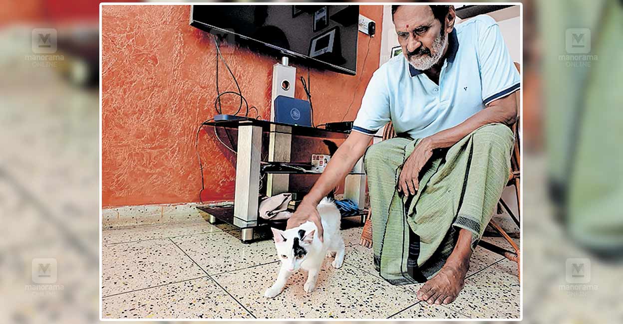 ammukutty.jpg