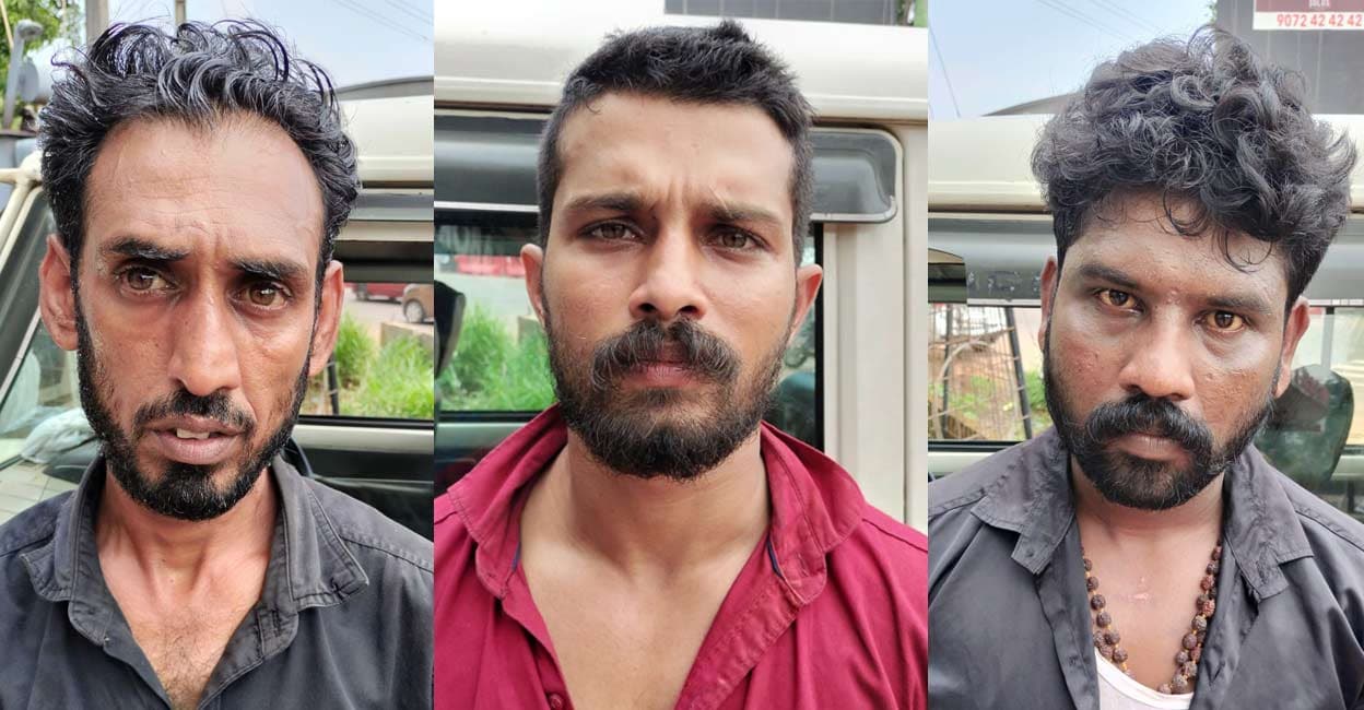 asharaf-sreejith-krithi.jpg