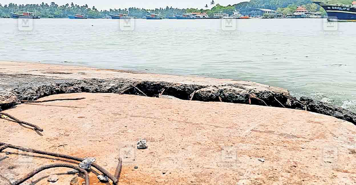 beypore-jungar.jpg