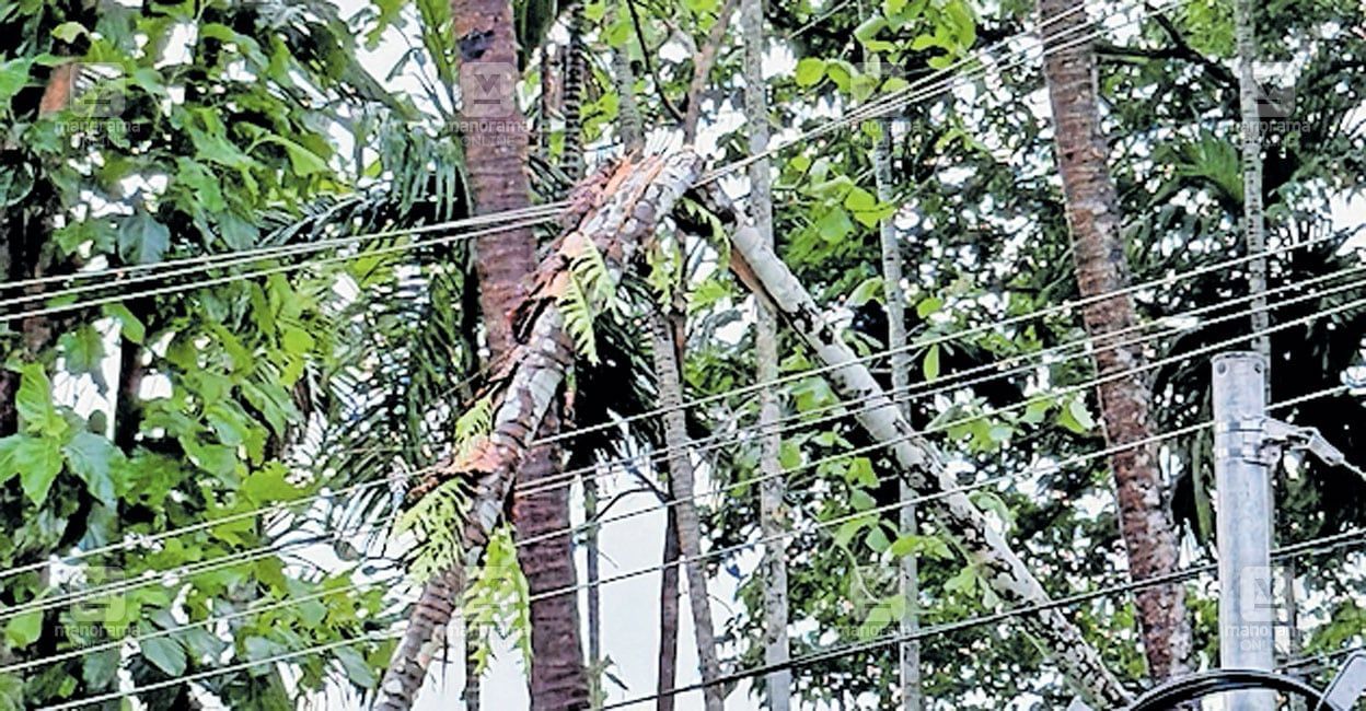 cherupuzha-rain-wind1.jpg