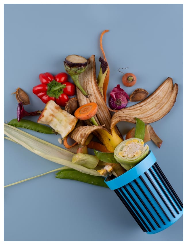 compost.jpg
