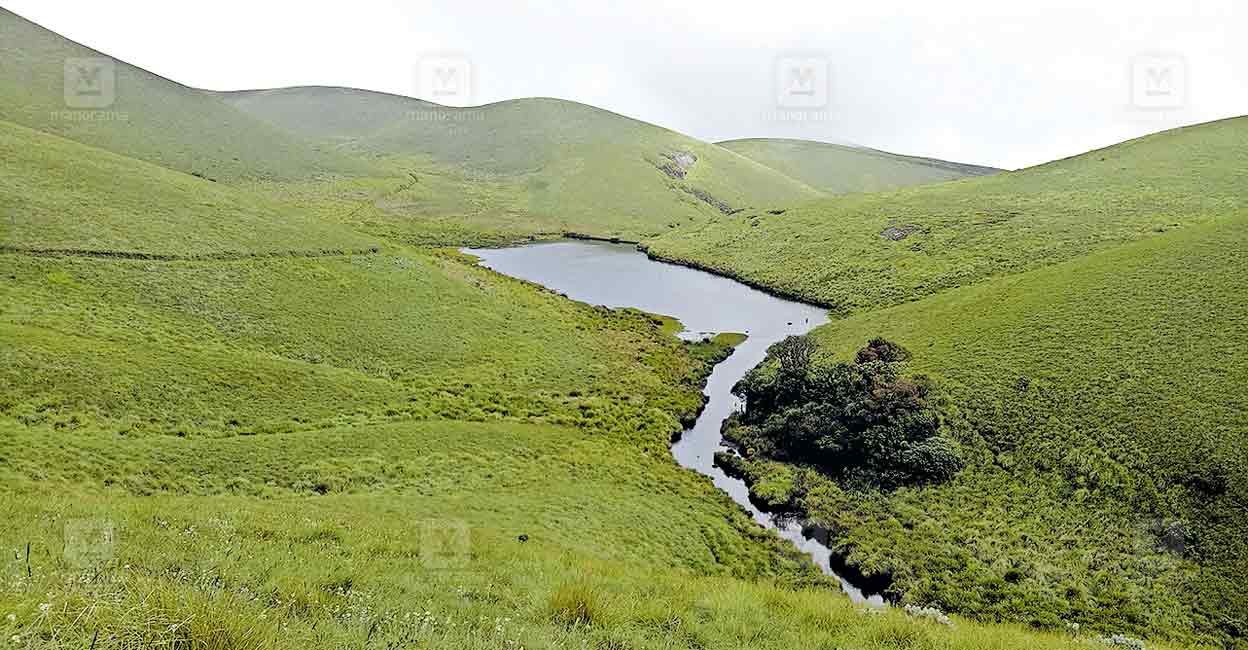 eravikulam-national-park.jpg