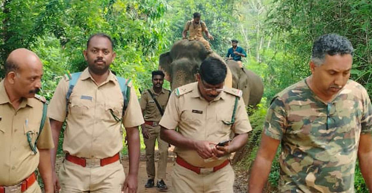 forest-officers-search-for-wild-elephant.jpg