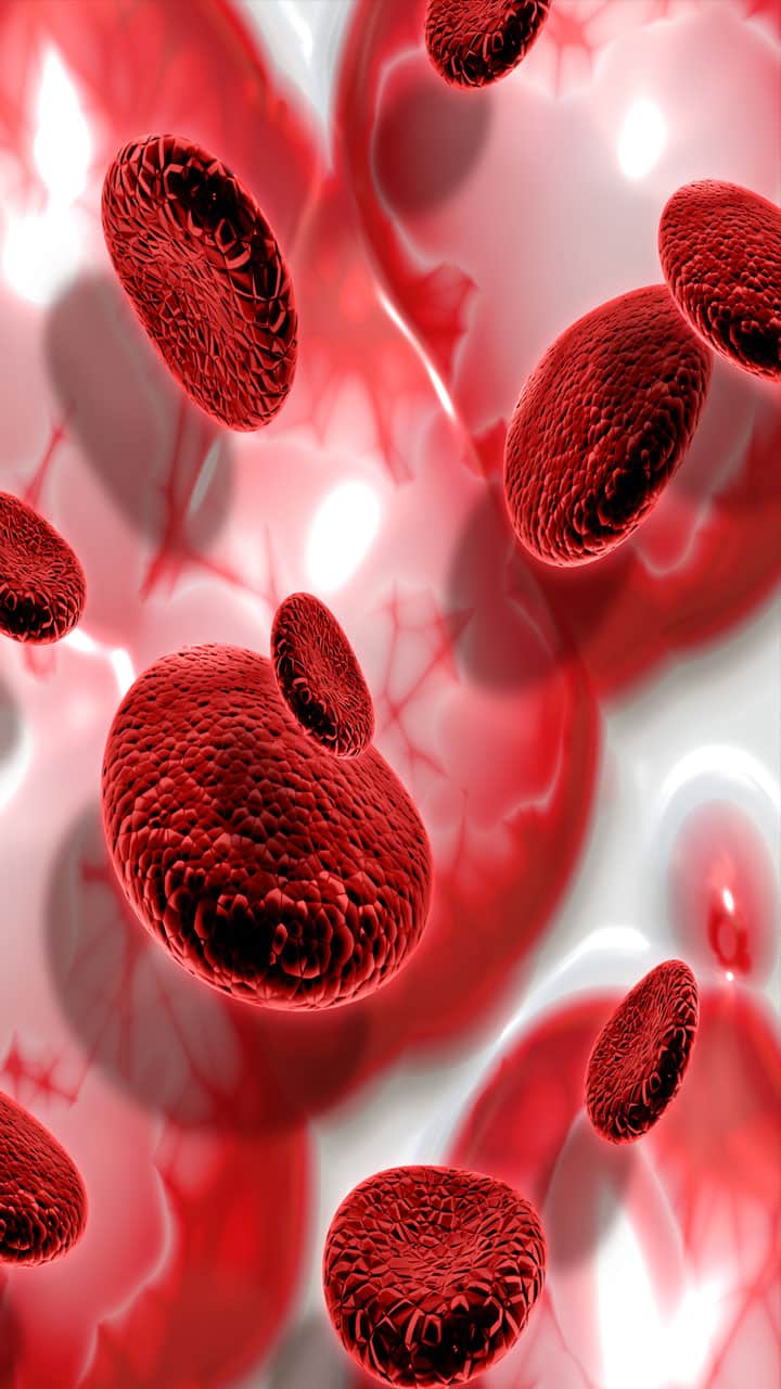 hemoglobin-in-hindi-1687609680225.jpg