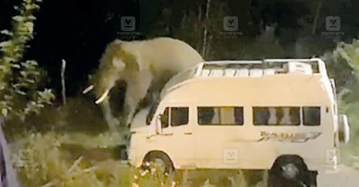 idukki-wild-elephant.jpg