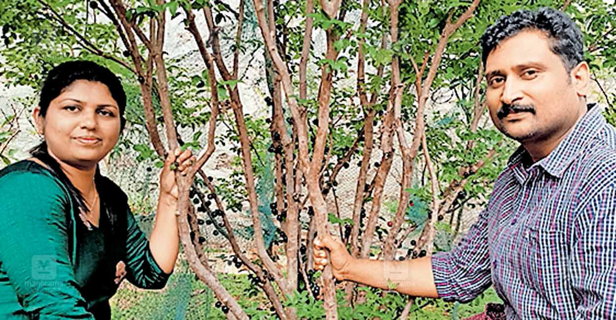 jith-neethu.jpg