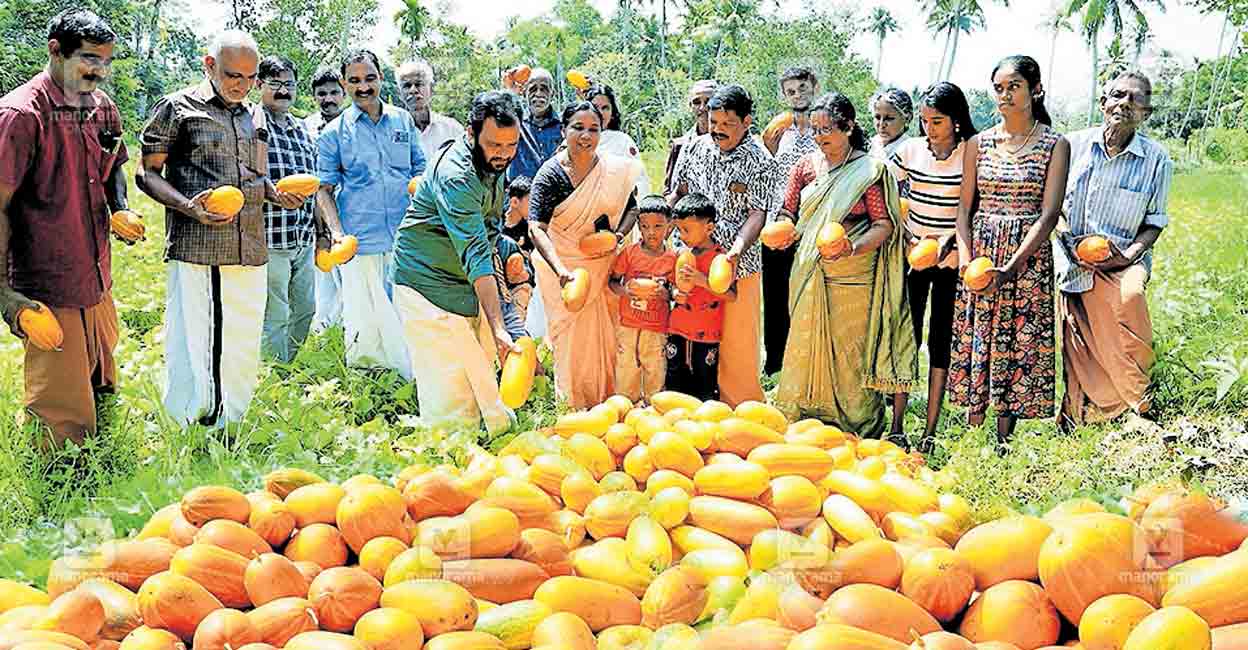 kanjijuzhy-kanivellari.jpg