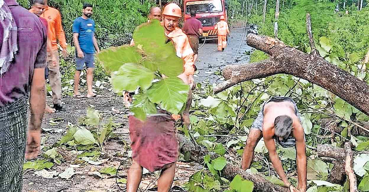 kanjirappally-rain-damage-1.jpg