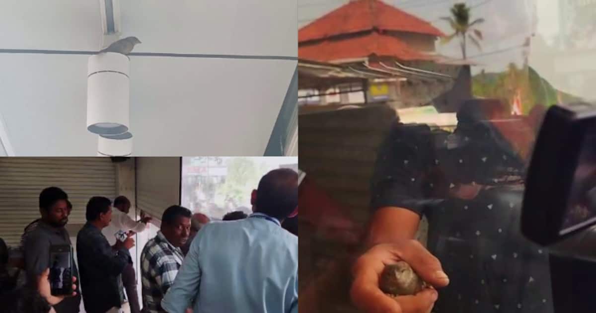 kannur-trapped-bird_1200x630xt.jpg