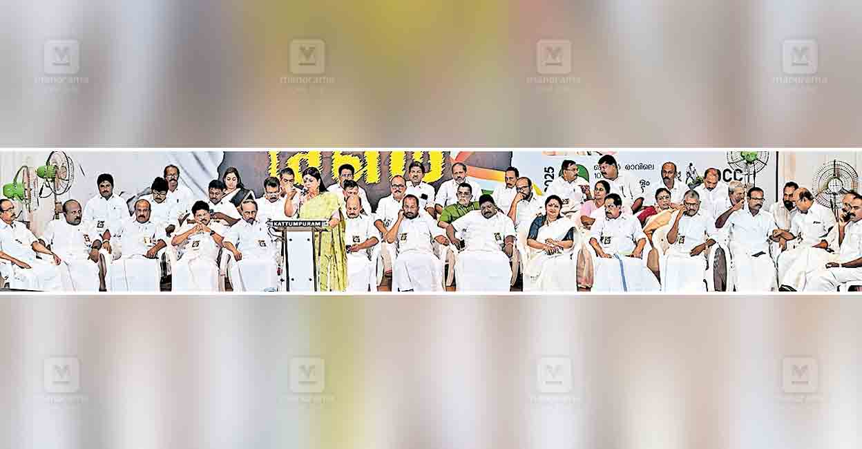 kochi-asha-works-udf.jpg