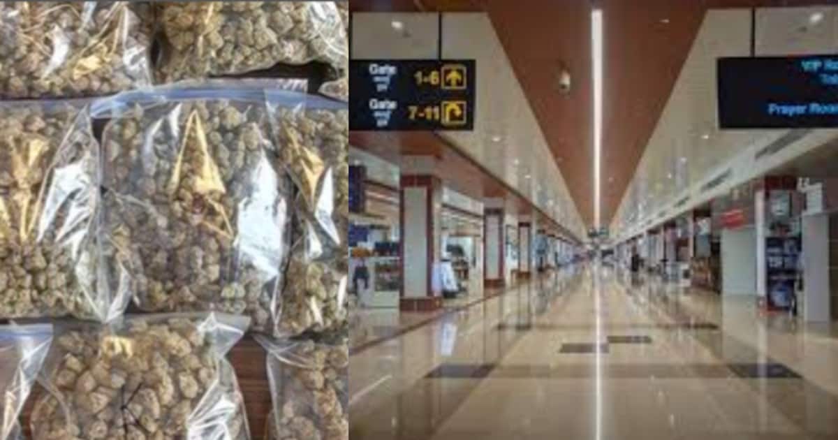 kochin-airport-hybrid-cannabis_1200x630xt.jpg