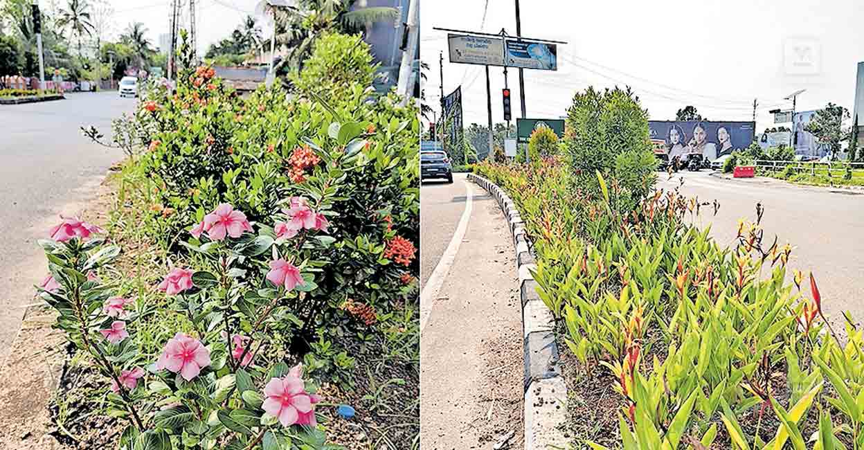 kottayam-palathra-bypass.jpg