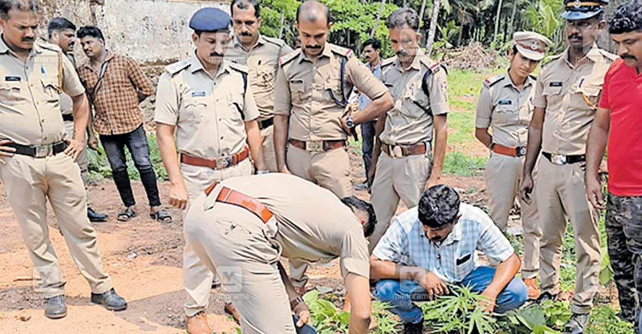 kozhikode-cannabis.jpg