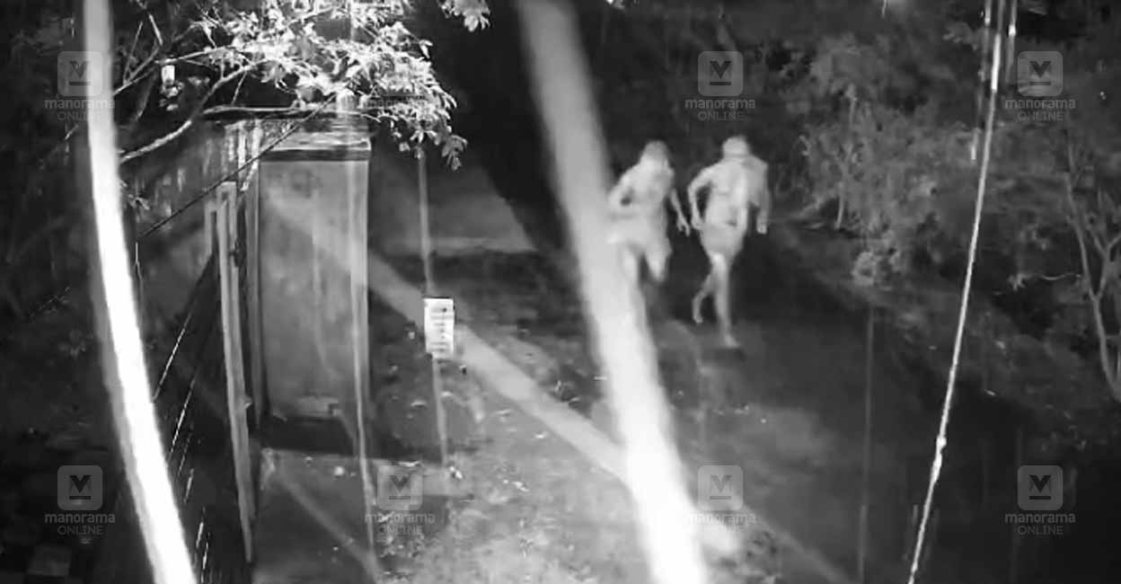 kuruva-attack.jpg