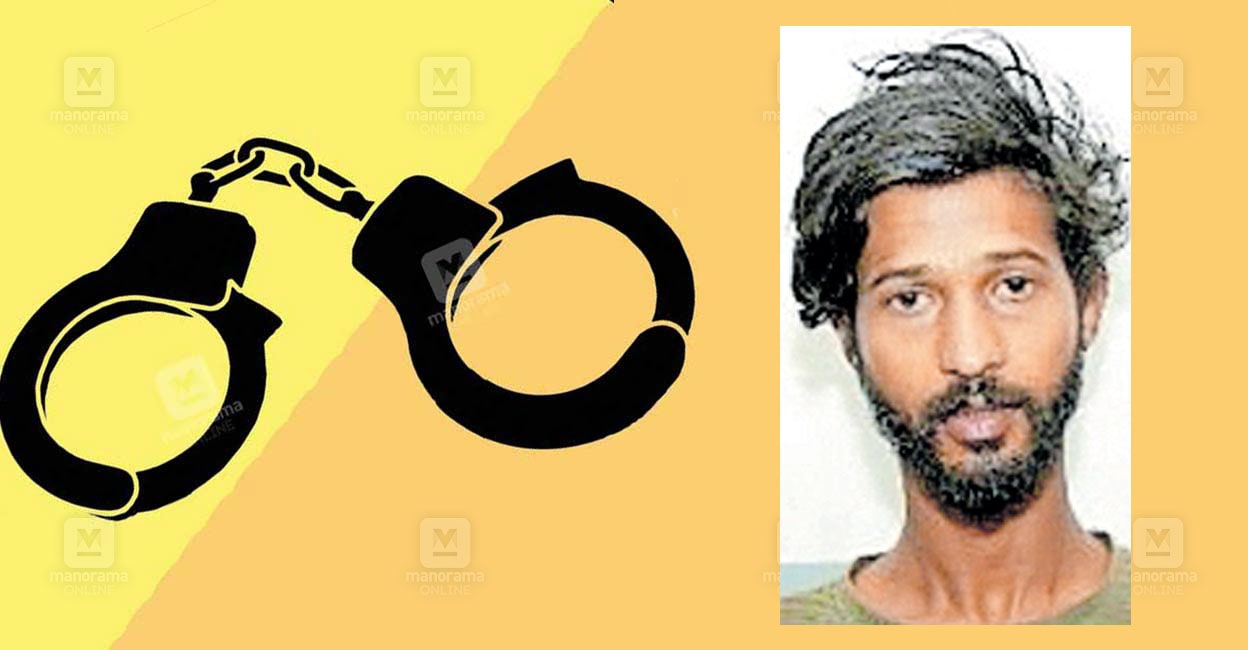 lahari-case.jpg