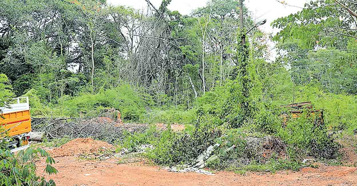 malappuram-forest-area-around-thenhipalam-police-station.jpg