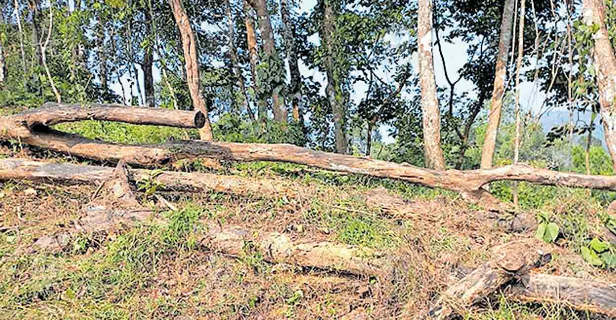 manathavady-transgride-power-line-scheme-1.jpg