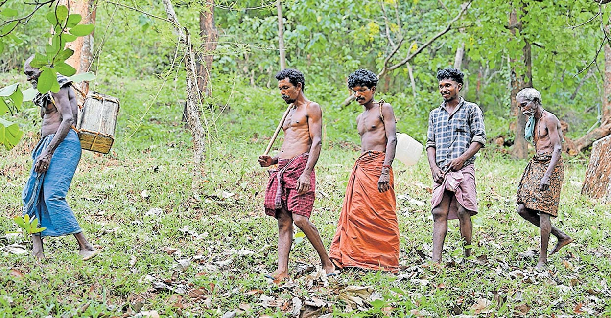 nilambur-honey-kerala.jpg