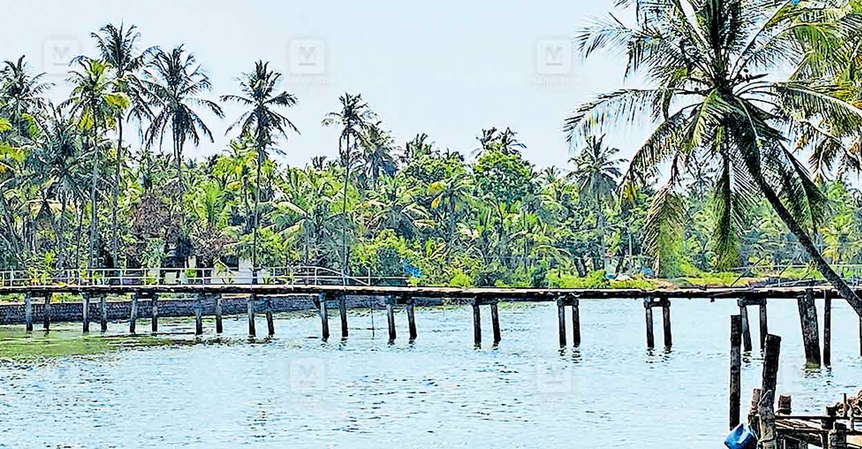 ns3-neeleshwaram-walking-bridge.jpg