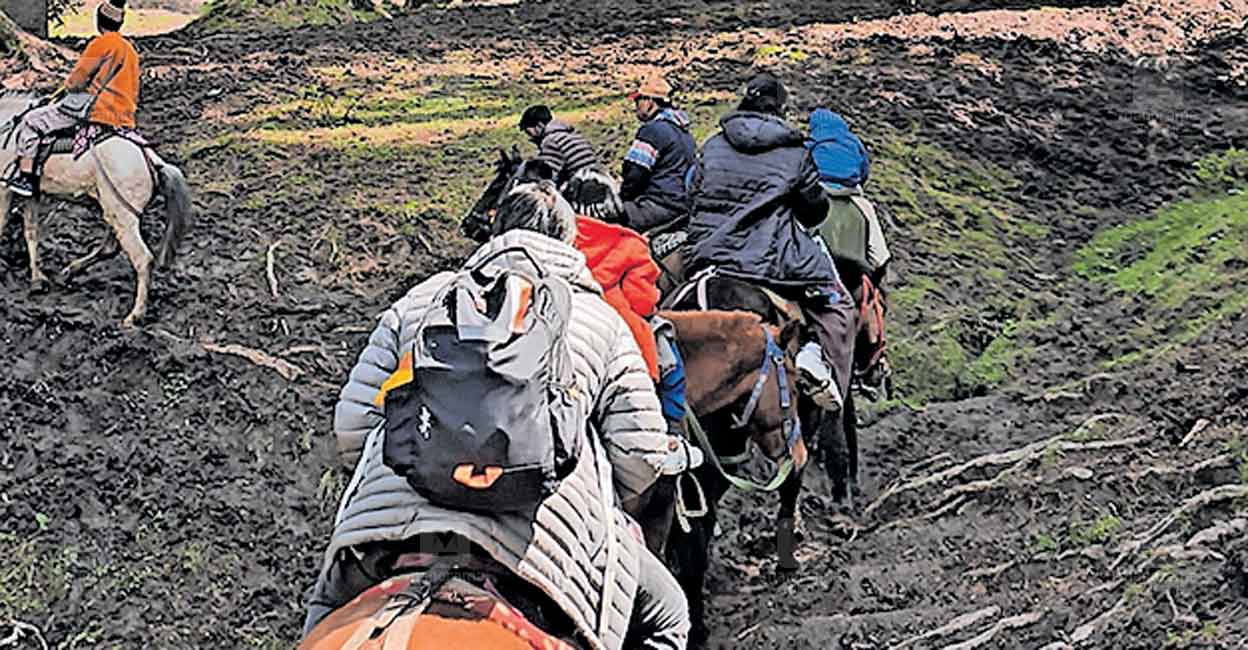 pahalgam-attack-couples-escape.jpg