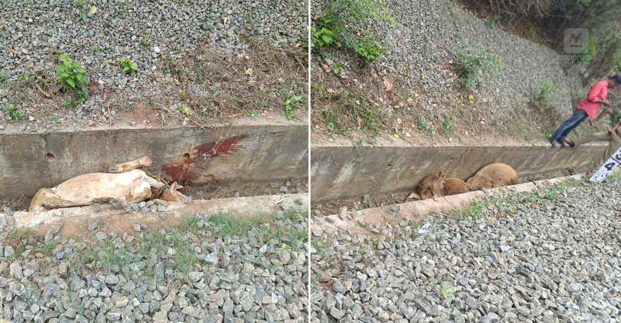 palakkad-train-accident-chennai-express.jpg