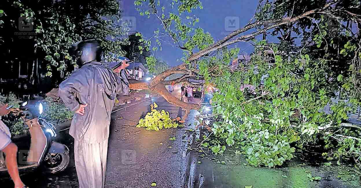 pattambi-road-rain-damage.jpg