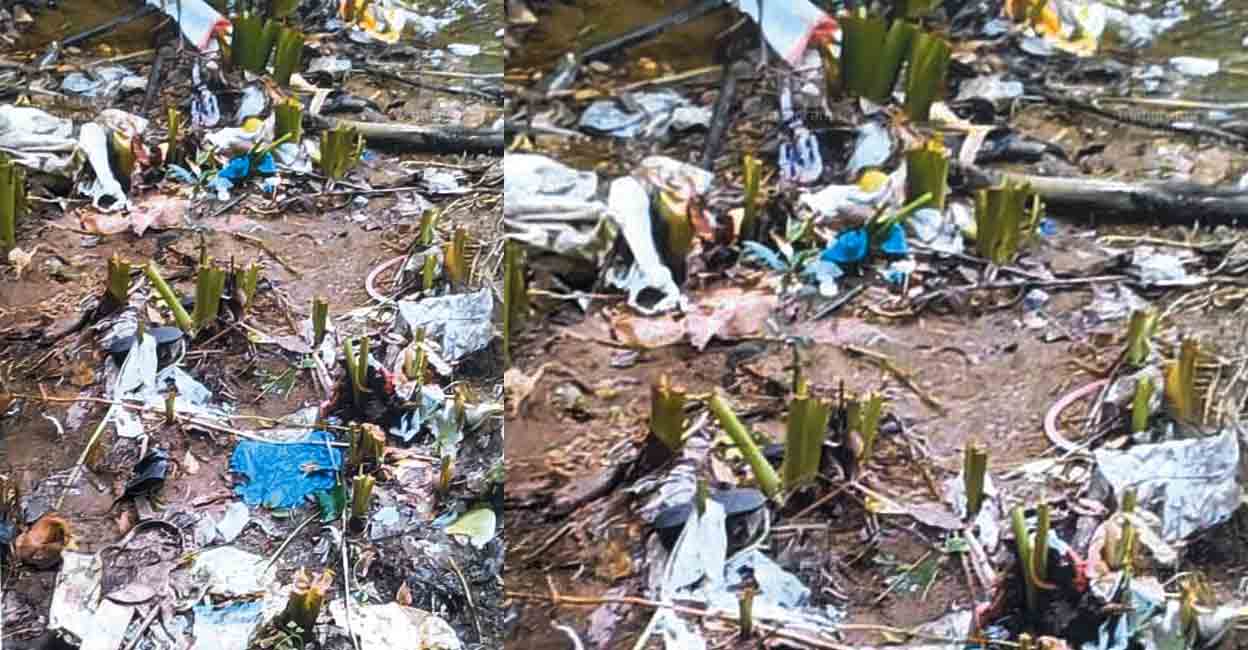 plastic-waste.jpg