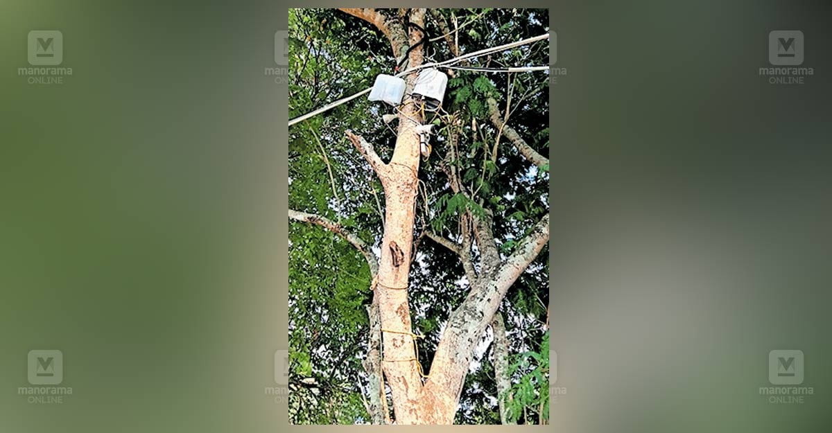 poozhikadu-cctv-waste-issue.jpg
