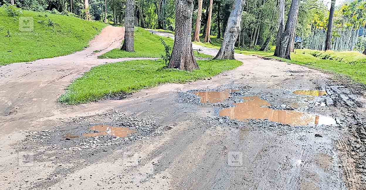 pulpally-chekady-forest.jpg