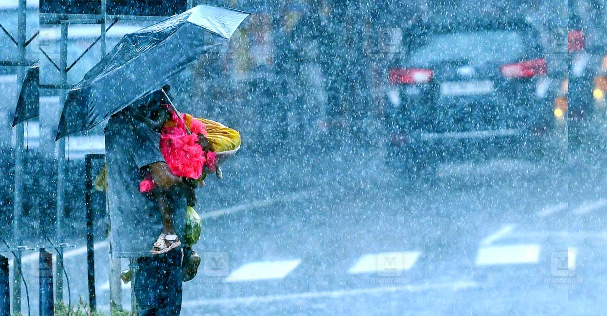 rain-umbrella.jpg