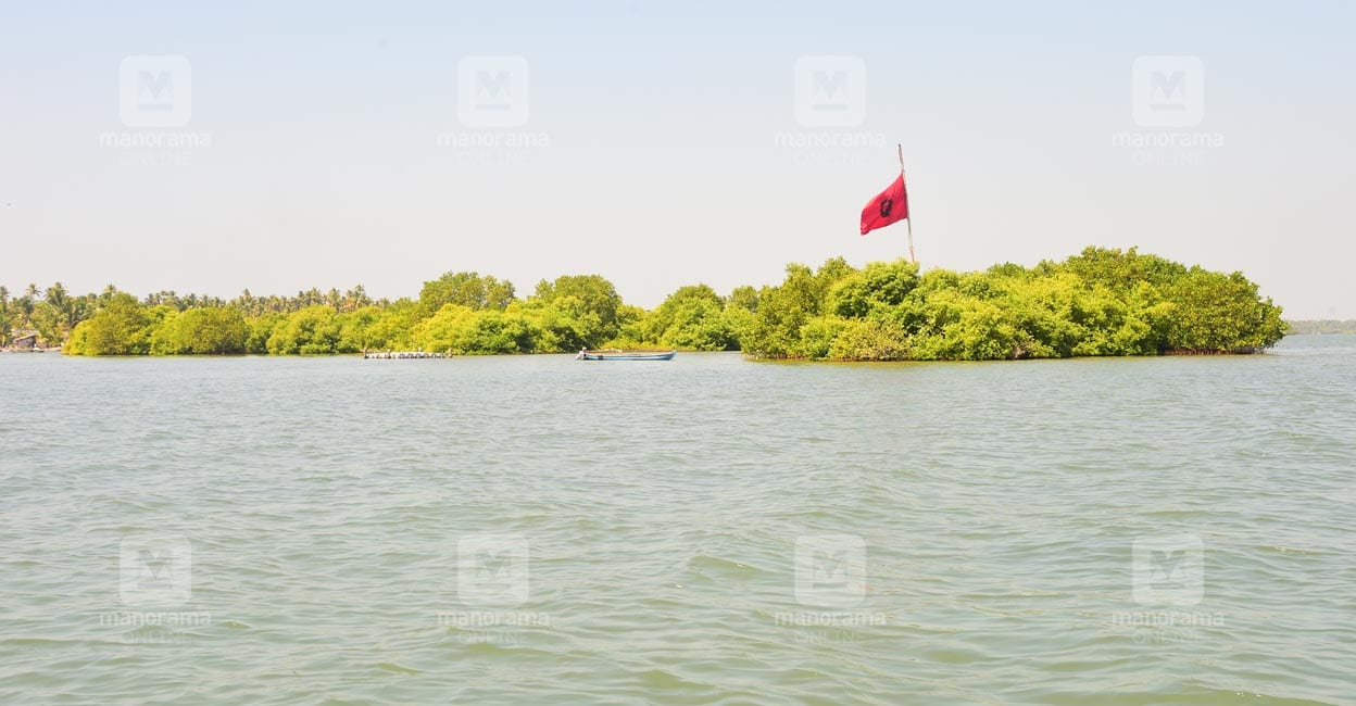 sambranikodi-in-ashtamudi-lake.jpg
