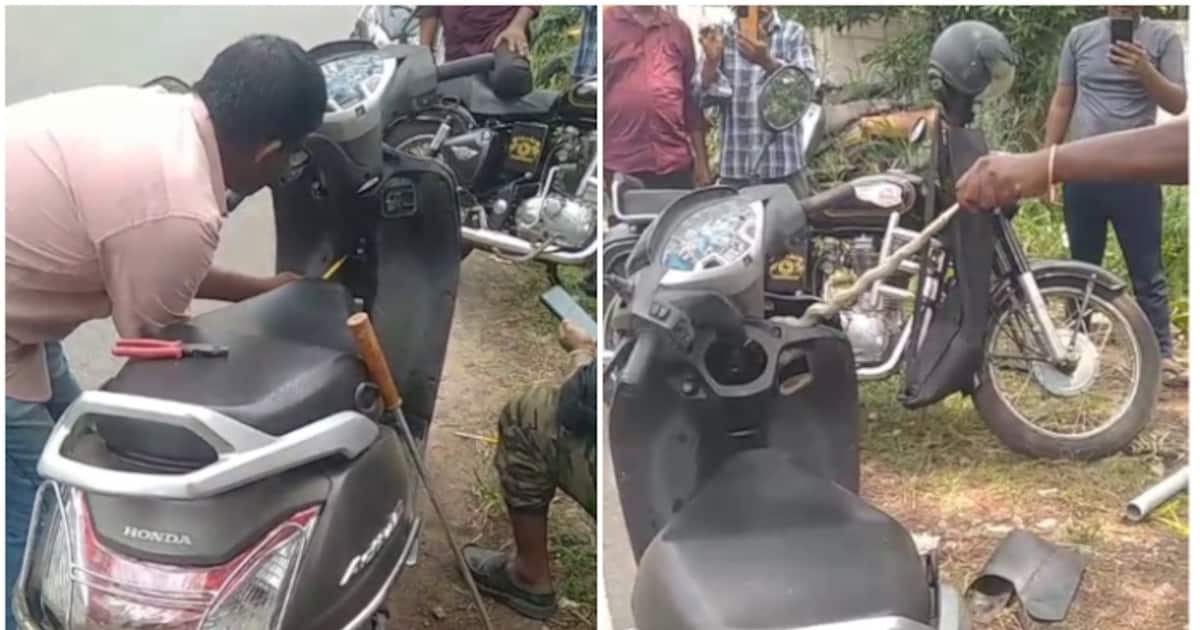 snake-in-scooter_1200x630xt.jpg
