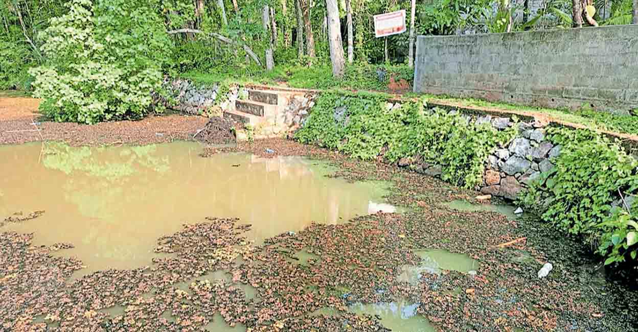 thiruvananthapuram-pond-health-department-warning-board.jpg