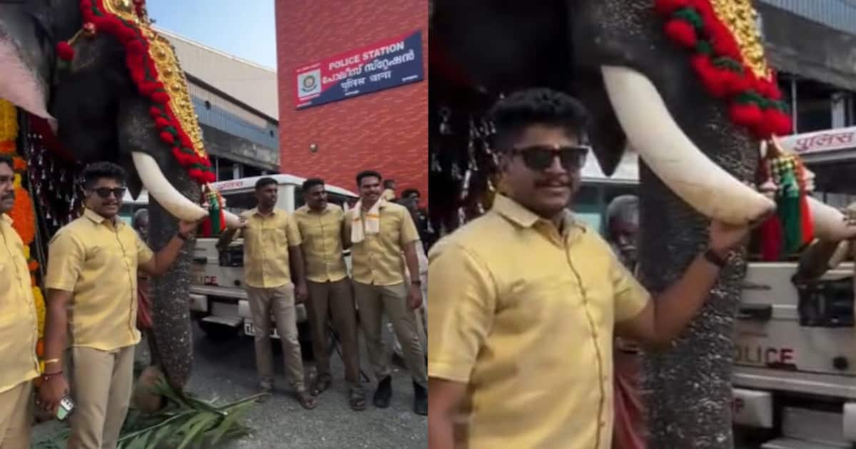 thrissur-elephant_1200x630xt.jpg