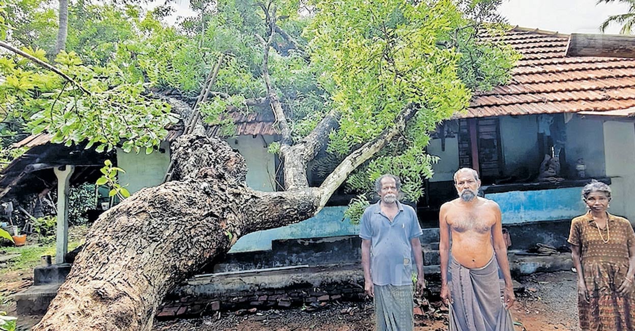 thrissur-heavy-rain-damage.jpg