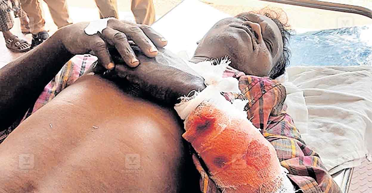wayanad-batheri-bear-attacked.jpg