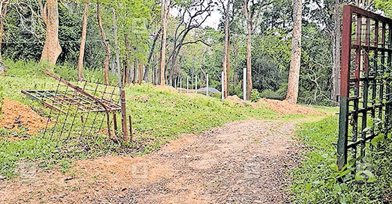 wayanad-elephant-attack.jpg