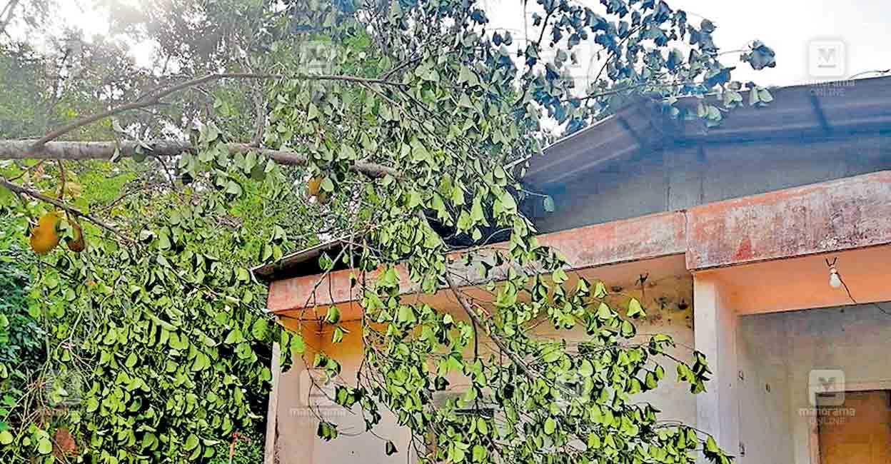 1746675623_kannur-rain-havoc.jpg