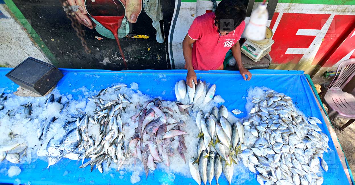 Fish-stall-at-Kalarkode-Alappuzha.jpg