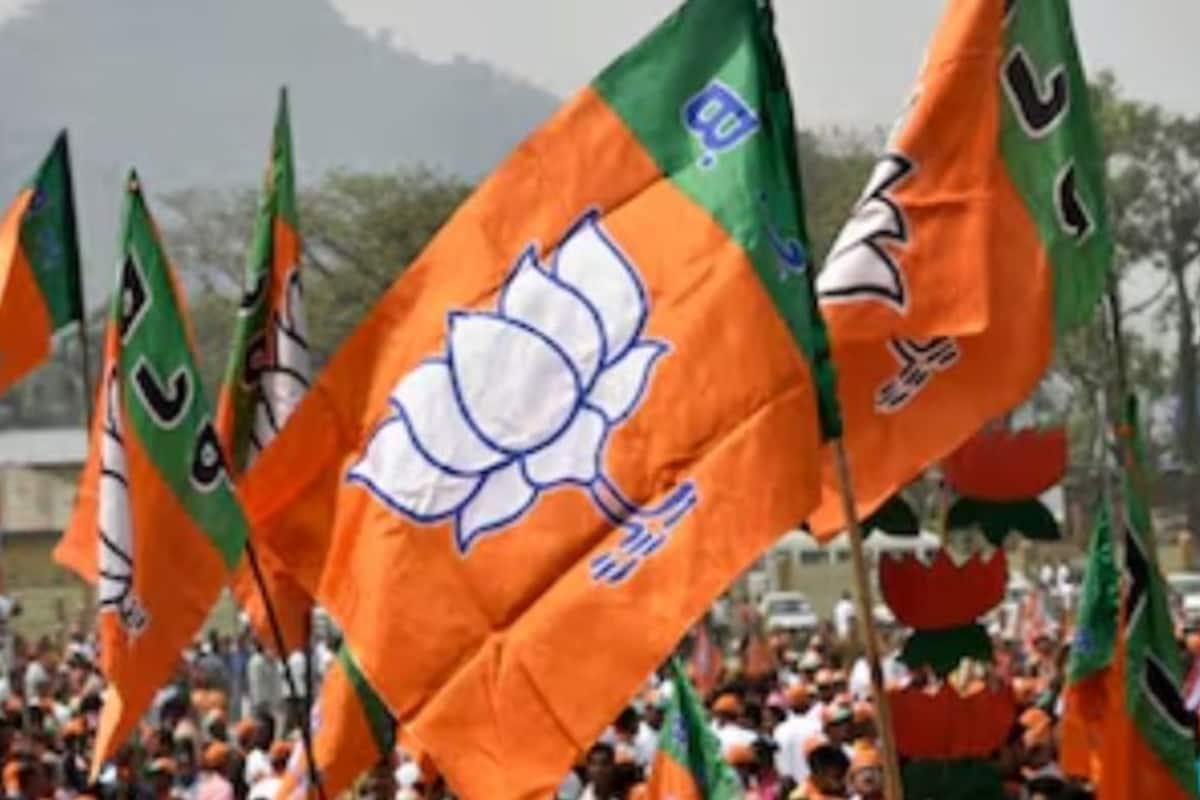 bjp-flag_1200x800xt.jpg