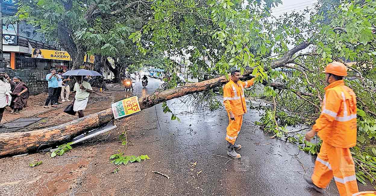 changanassery-rain-damage-1.jpg