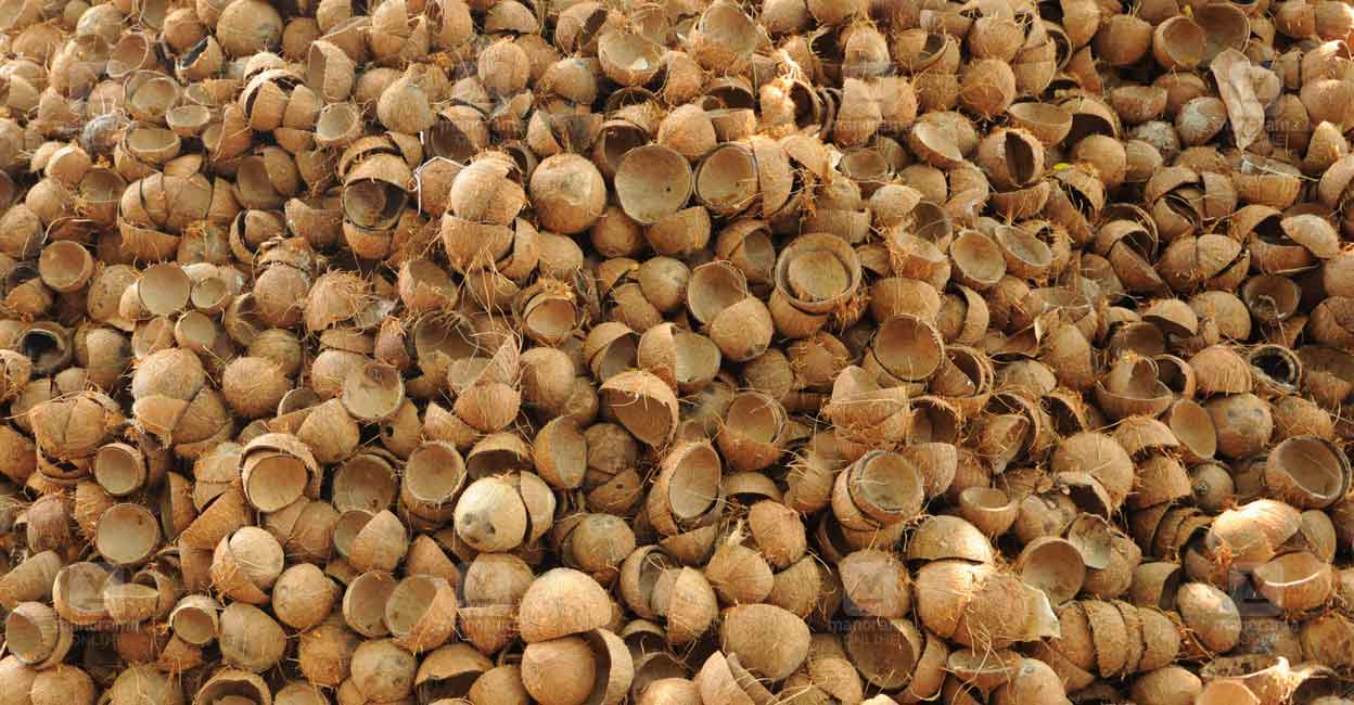 coconut-shell.jpg