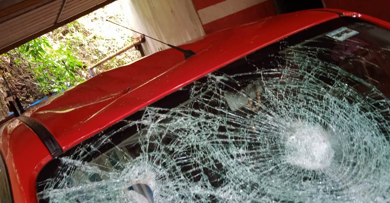 dog-bite-car.jpg