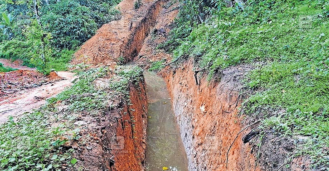 elephant-kidangu.jpg