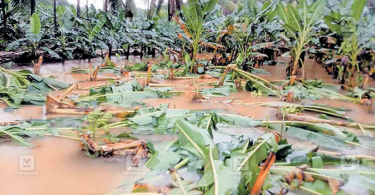 era2pettah-rain1.jpg
