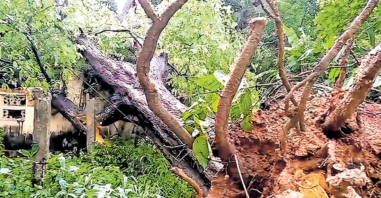 ezhukone-storm-damage-report.jpg