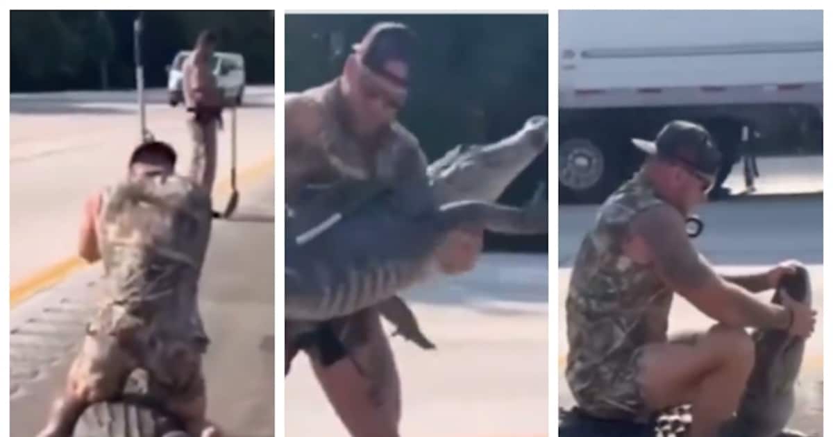 giant-crocodile-spreads-panic-on-roadside-rescue-team-member-overcomes-it-alone_1200x630xt.jpg